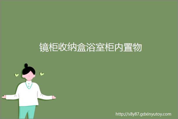 镜柜收纳盒浴室柜内置物